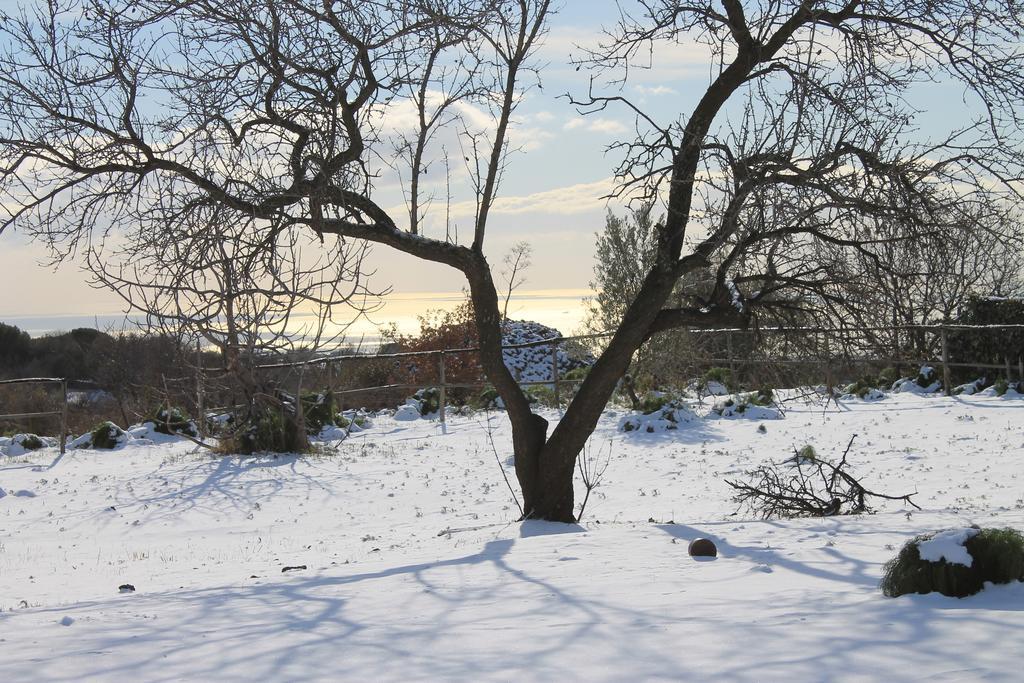 B&B Etna 1703 Belpasso Kültér fotó
